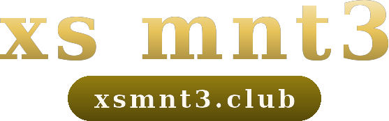 xs mnt3 logo